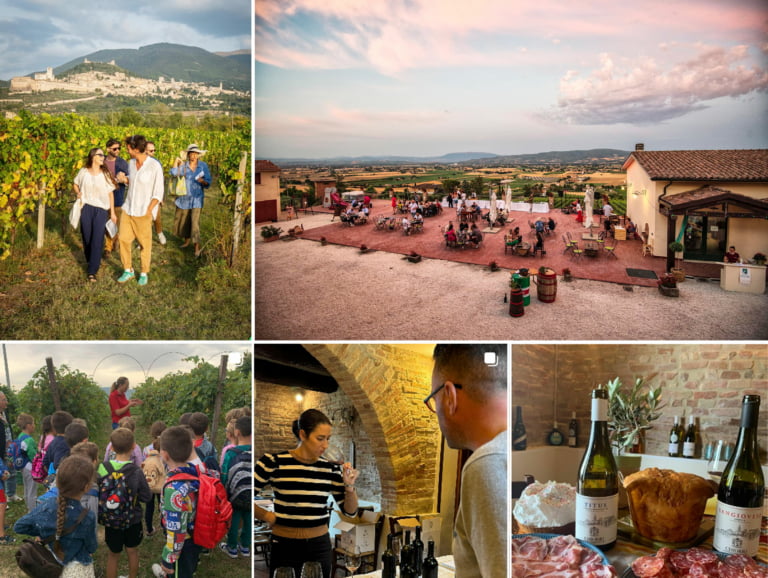 Scopri di più sull'articolo Vigneti aperti 2024: wine tour tra le cantine dell’Umbria con degustazioni e passeggiate nei vigneti della regione