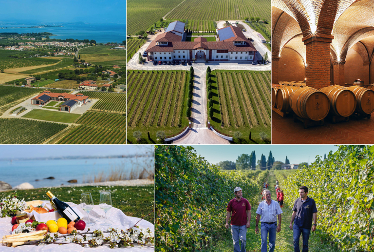 Scopri di più sull'articolo Enoturismo sul Lago di Garda: da cantina Le Morette 5 appuntamenti per un’estate tra vino e musica nella Doc Lugana