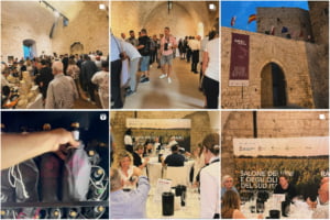 Scopri di più sull'articolo Radici del Sud 2024, tutti i vini premiati dalle giurie di esperti nazionali ed internazionali. Focus sui vitigni autoctoni
