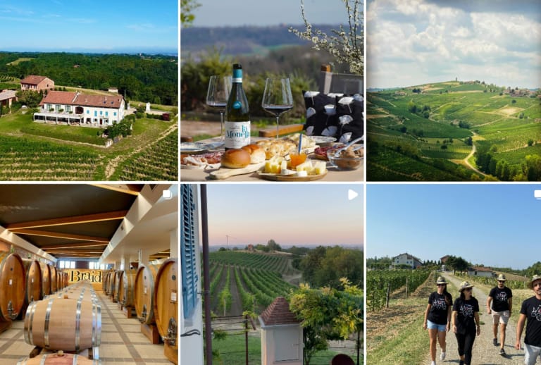 Scopri di più sull'articolo Braida Wine Resort di Rocchetta Tanaro: un’esperienza in Monferrato tra vino, natura e relax