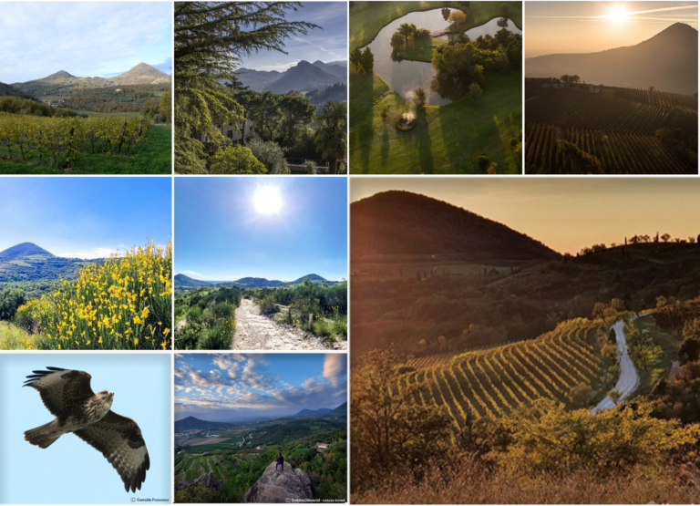 Scopri di più sull'articolo I Colli Euganei sono stati proclamati Riserva della Biosfera Unesco. Un unicum che racchiude habitat e specie uniche