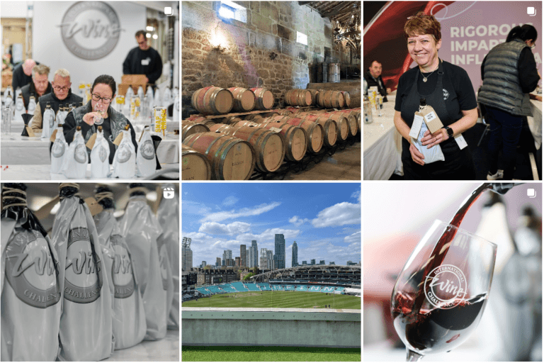 Scopri di più sull'articolo International Wine Challenge 2024: Sei vini italiani premiati con il Trofeo più ambito e uno come Miglior vino dolce al mondo