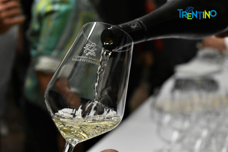 Scopri di più sull'articolo Concorso Internazionale Vini Müller Thurgau: sono 18 le medaglie assegnate alle migliori etichette