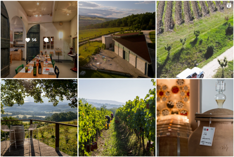 Scopri di più sull'articolo Estate in Umbria: degustazioni, passeggiate e incontri nei vigneti. Le proposte di quattro cantine del territorio