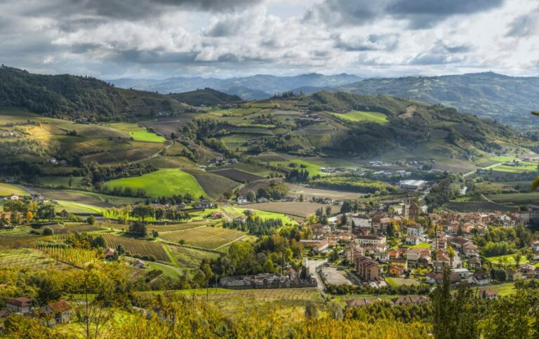 Scopri di più sull'articolo Vendemmia 2024: in Alta Langa è cominciata la raccolta con i primi grappoli di Pinot nero. Infografica e numeri della DOCG