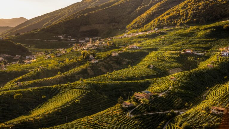 Scopri di più sull'articolo Val d’Oca a Valdobbiadene: tra le colline del prosecco un autunno di eventi tra enogastronomia, musica e arte