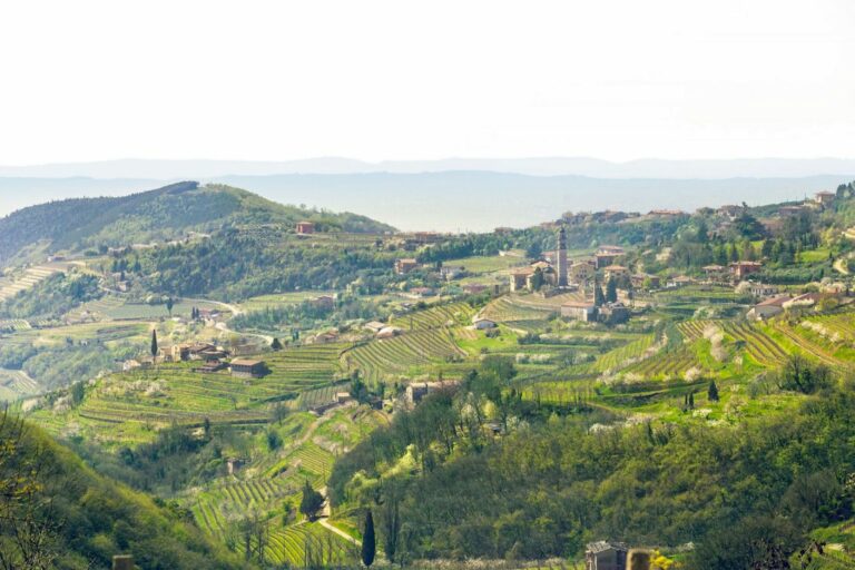 Scopri di più sull'articolo Palio del Vino e dei Sapori, a Negrar un weekend tra prodotti gastronomici e vini della Valpolicella