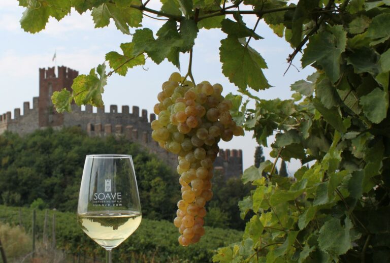 Scopri di più sull'articolo Appuntamento Soave: per la prima edizione oltre 40 aziende metteranno in degustazione le loro migliori interpretazioni della Doc veronese