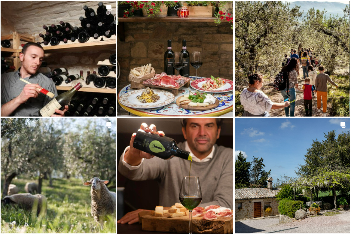 Scopri di più sull'articolo Le sagre imperdibili in Umbria: ecco gli eventi enogastronomici per scoprire i sapori del cuore verde d’Italia