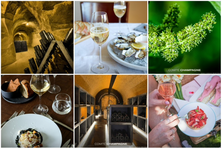 Scopri di più sull'articolo Piatti provenienti da tutto il mondo in abbinamento con le diverse tipologie di Champagne