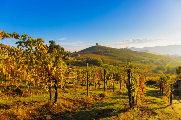 Scopri di più sull'articolo Scollinando e Scodellando: due eventi per scoprire il cuore dell’Oltrepò Pavese tra buoni vini e paesaggi sorprendenti