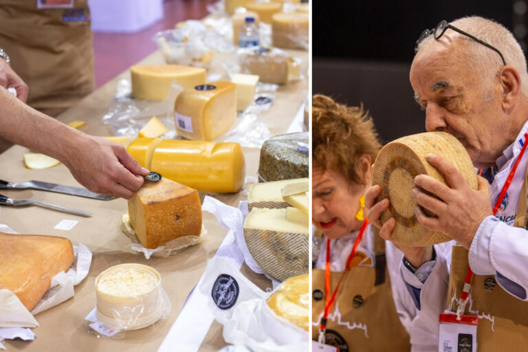 Scopri di più sull'articolo World Cheese Awards 2024: tre formaggi italiani fra i migliori al mondo. La classifica completa