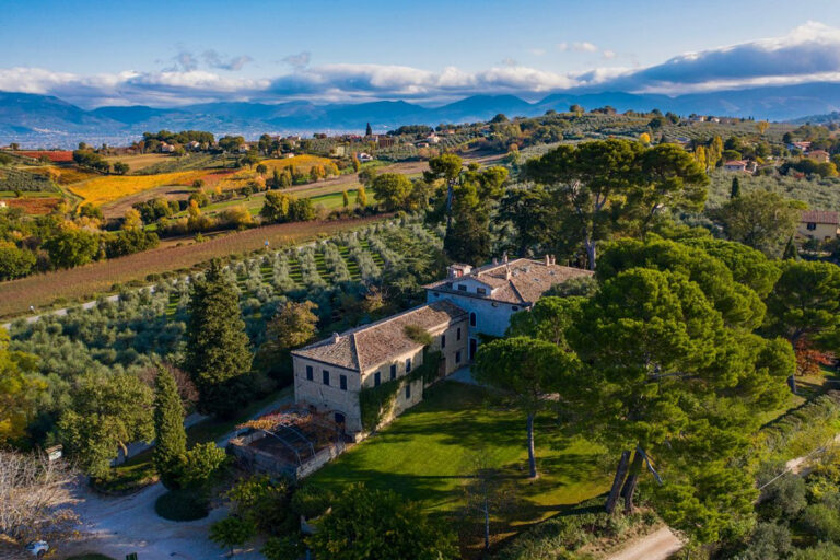 Scopri di più sull'articolo Guida per l’enoturista di Go Wine 2025: le 24 migliori Cantine d’Italia e i 10 premi speciali