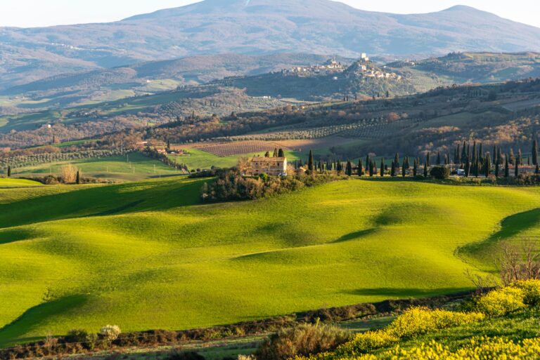 Scopri di più sull'articolo Elenco degli 11 vini DOCG in Toscana