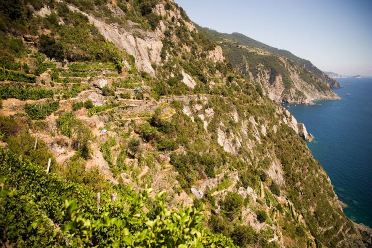 Scopri di più sull'articolo Paesaggio, biodiversità e comunità: tutti gli appuntamenti gratuiti di Casa Slow Food a Slow Wine Fair 2025!