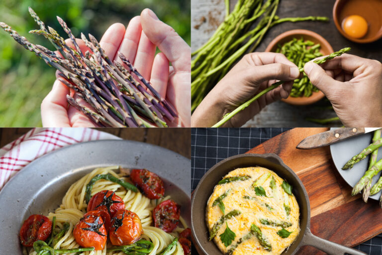 Scopri di più sull'articolo Asparagi selvatici: come riconoscerli, proprietà, ricette e consigli su quali vini abbinare