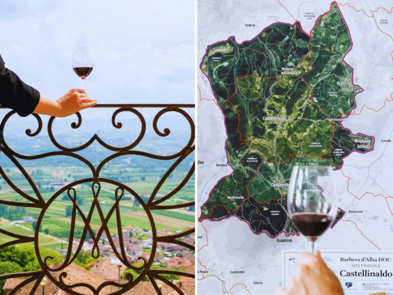 Scopri di più sull'articolo Il progetto sottozona Castellinaldo all’interno della denominazione Barbera d’Alba DOC