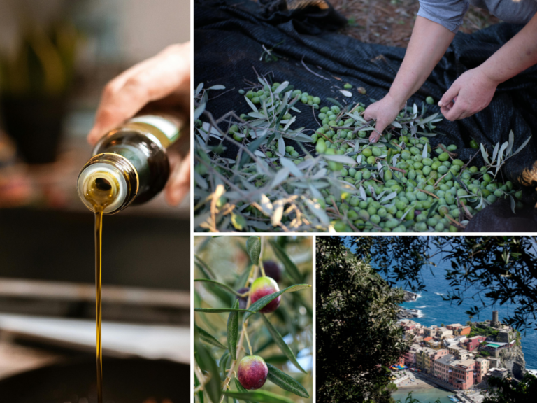Scopri di più sull'articolo Proprietà nutraceutiche dell’olio extravergine di oliva