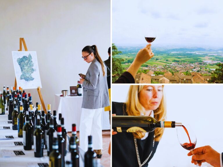 Scopri di più sull'articolo Primavera del Castellinaldo: festival con degustazioni, incontri con i produttori, visite al castello e scoperte enogastronomiche