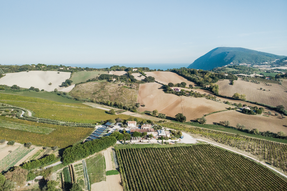 Vista aerea dei vigneti nel Parco del Monte Conero vini conero rosso conero Vista aerea dei vigneti nel Parco del Monte Conero vini conero rosso conero