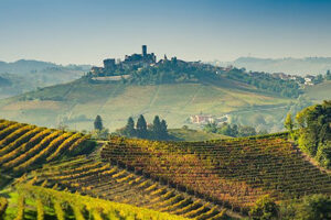 Scopri di più sull'articolo Il Piemonte vince come Migliore Regione del Vino ai Wine Travel Awards 2025, superando California e Sudafrica