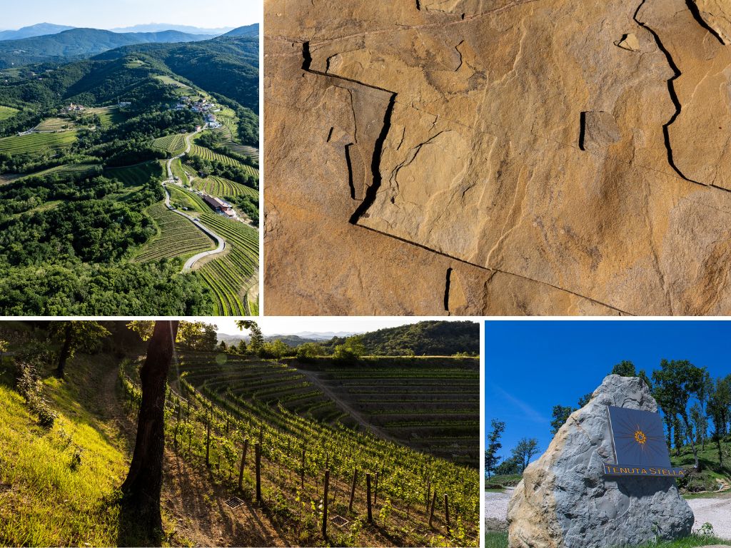 Scopri di più sull'articolo Che tipo di terreno è la ponca e dove si trova