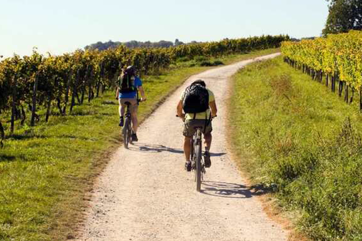 Scopri di più sull'articolo Bike & Wine a Jesi: in bici alla scoperta di vigneti e ville storiche nella campagna della Vallesina. Evento gratuito aperto a tutti